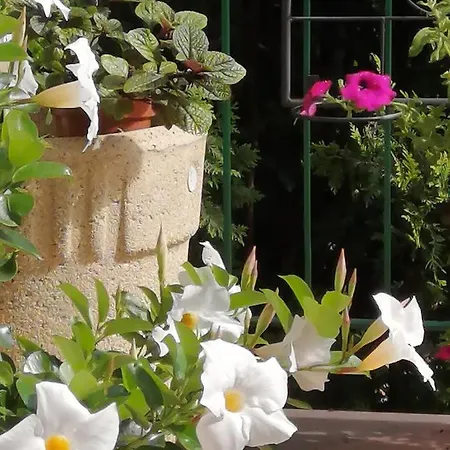 Glebia Lägenhet Dąbrówno